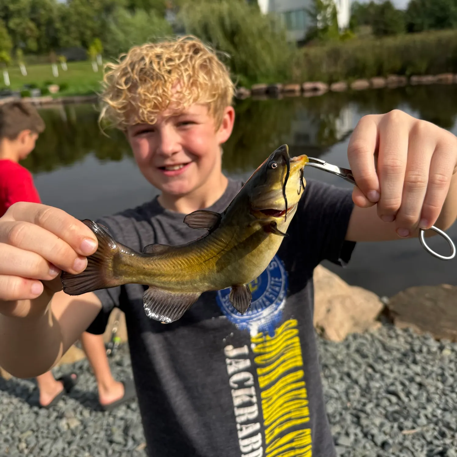 Yellow bullhead caught on Fishbrain