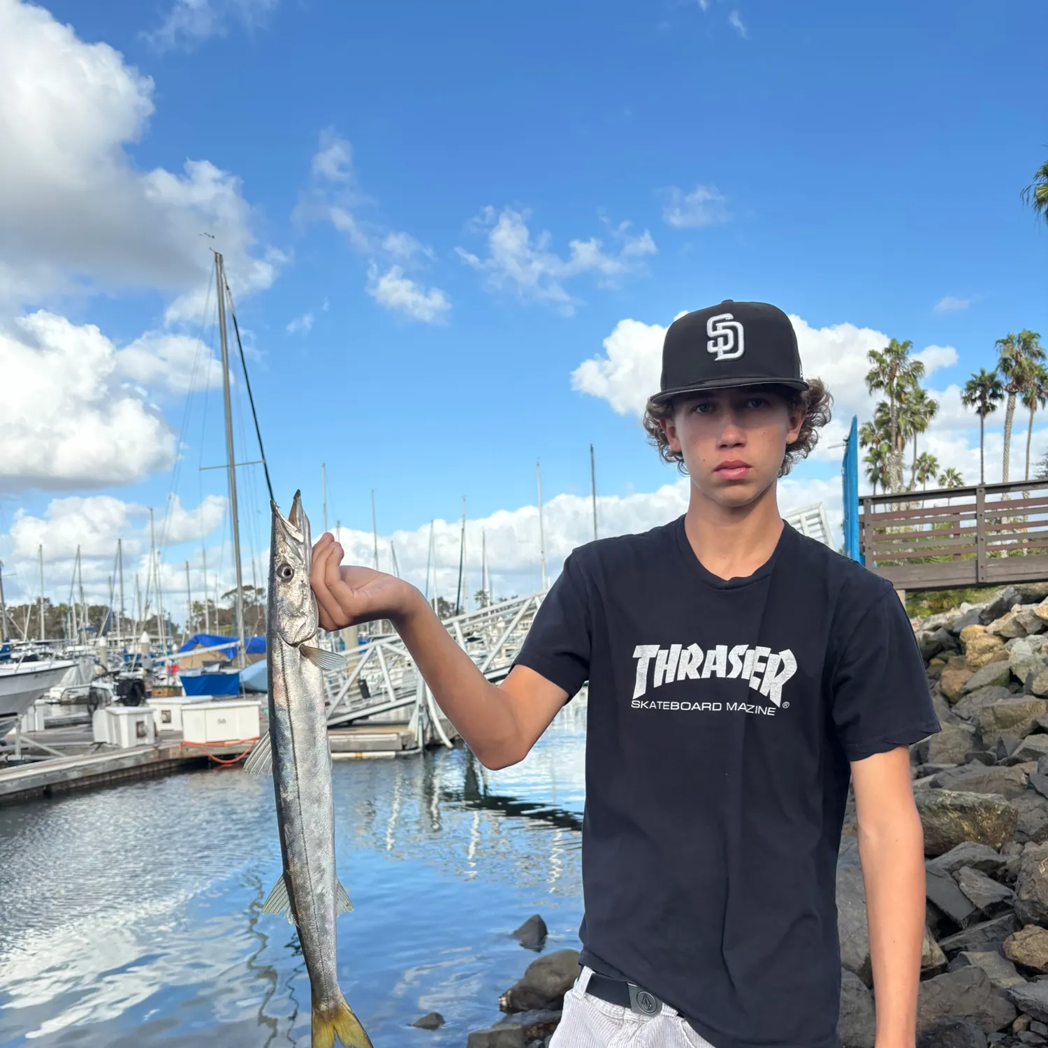 Pacific barracuda caught on Fishbrain