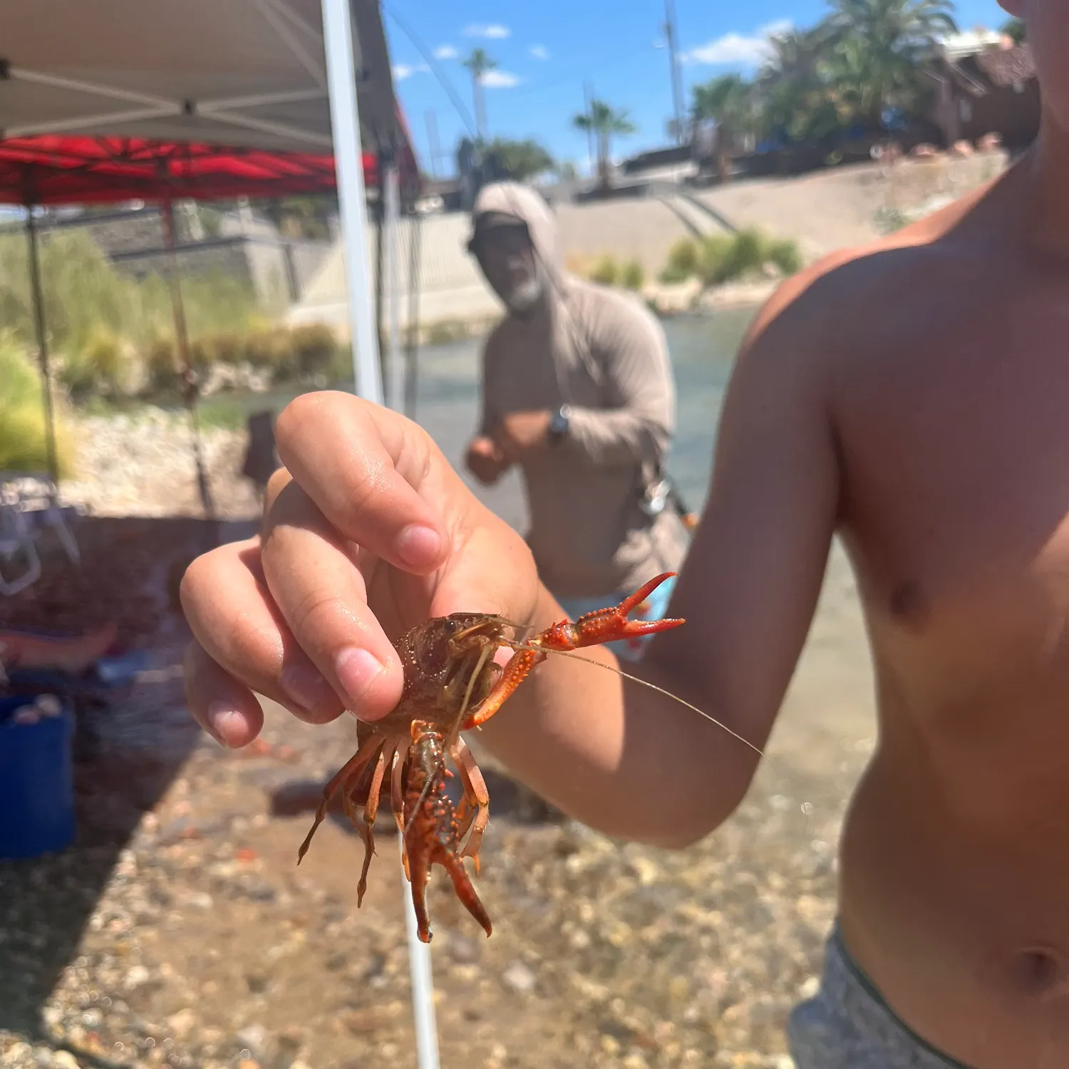 The most recent White River crayfish catches on Fishbrain