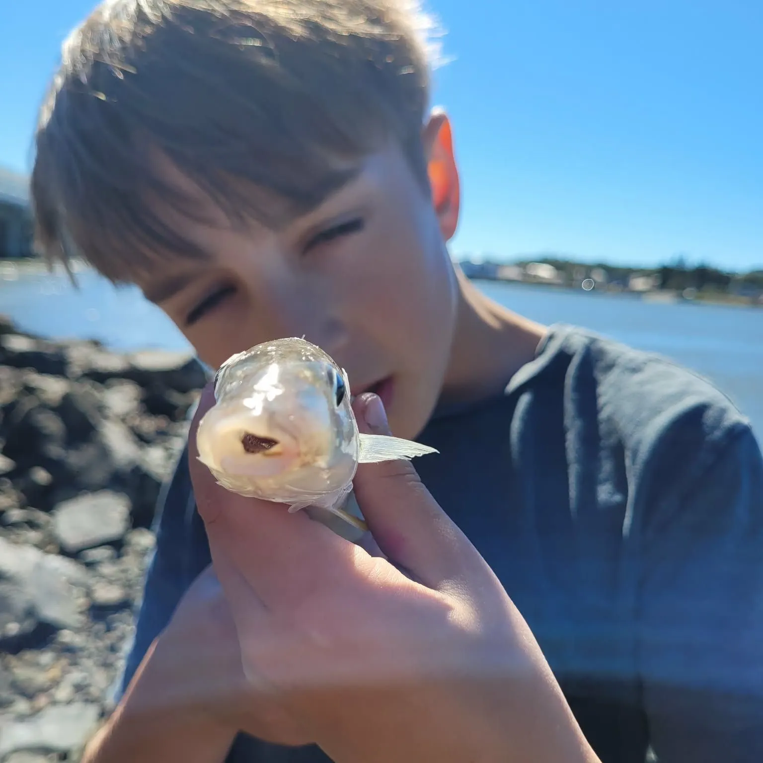 Sand sillago caught on Fishbrain