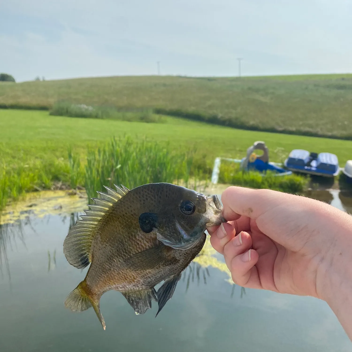 catch