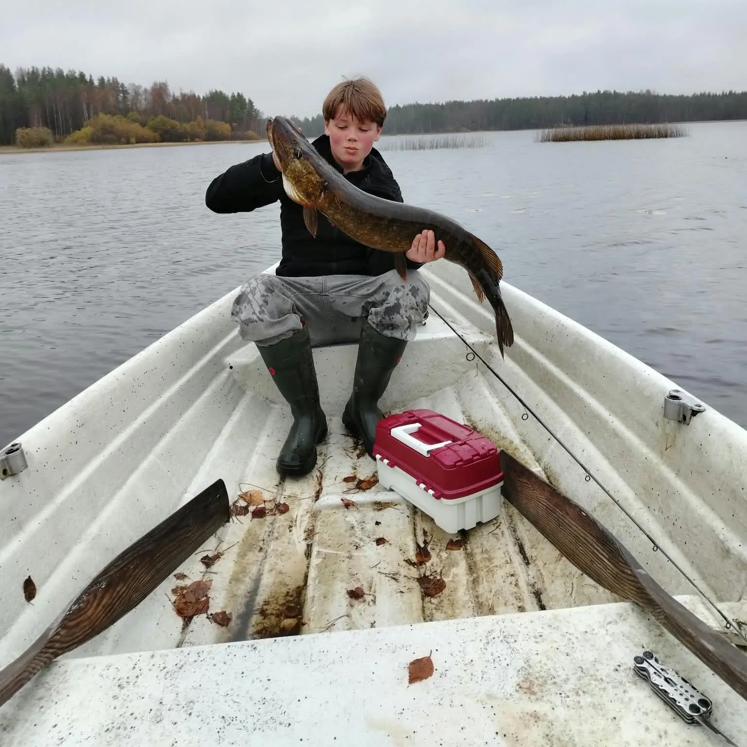 Northern pike caught on Fishbrain