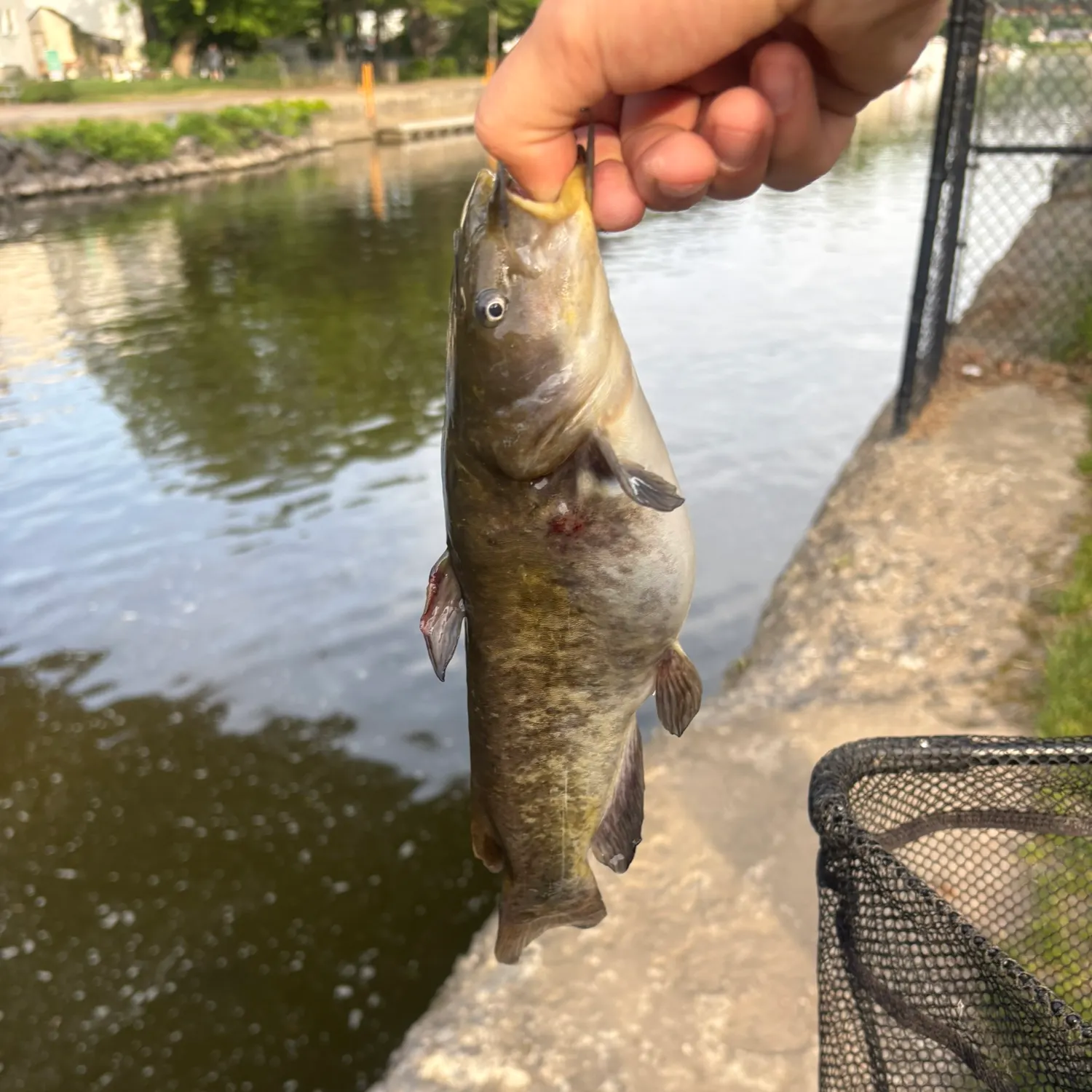 catch