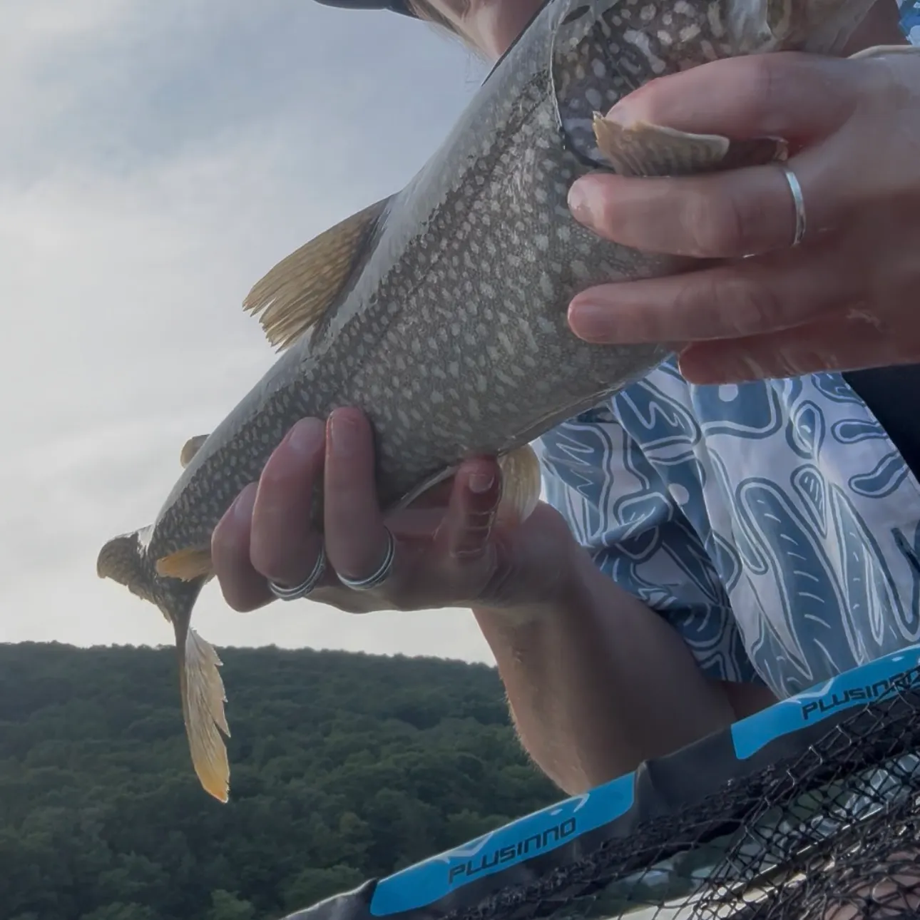 Lake char caught on Fishbrain