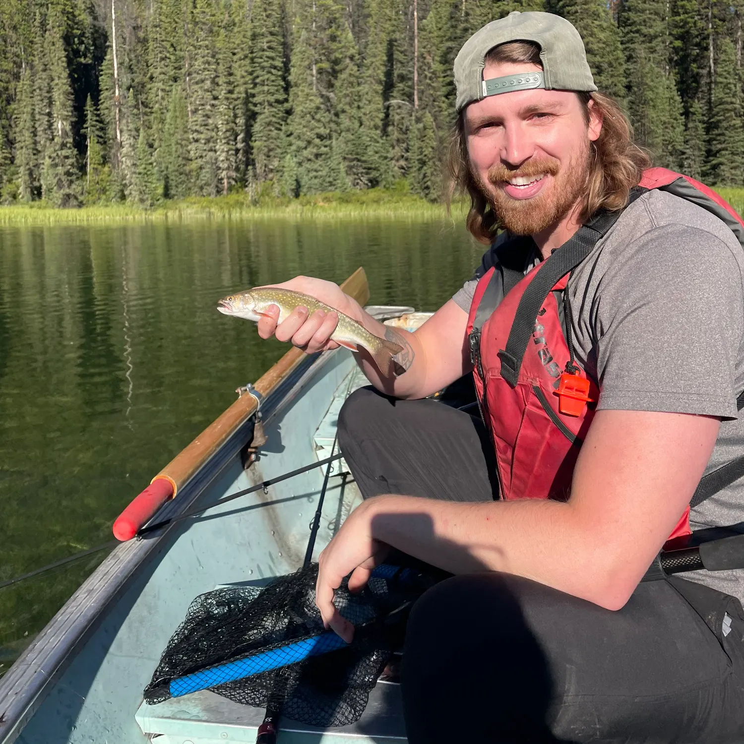 The most recent Brown trout catches on Fishbrain
