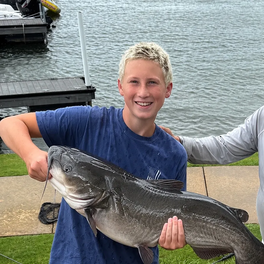 White bullhead caught on Fishbrain