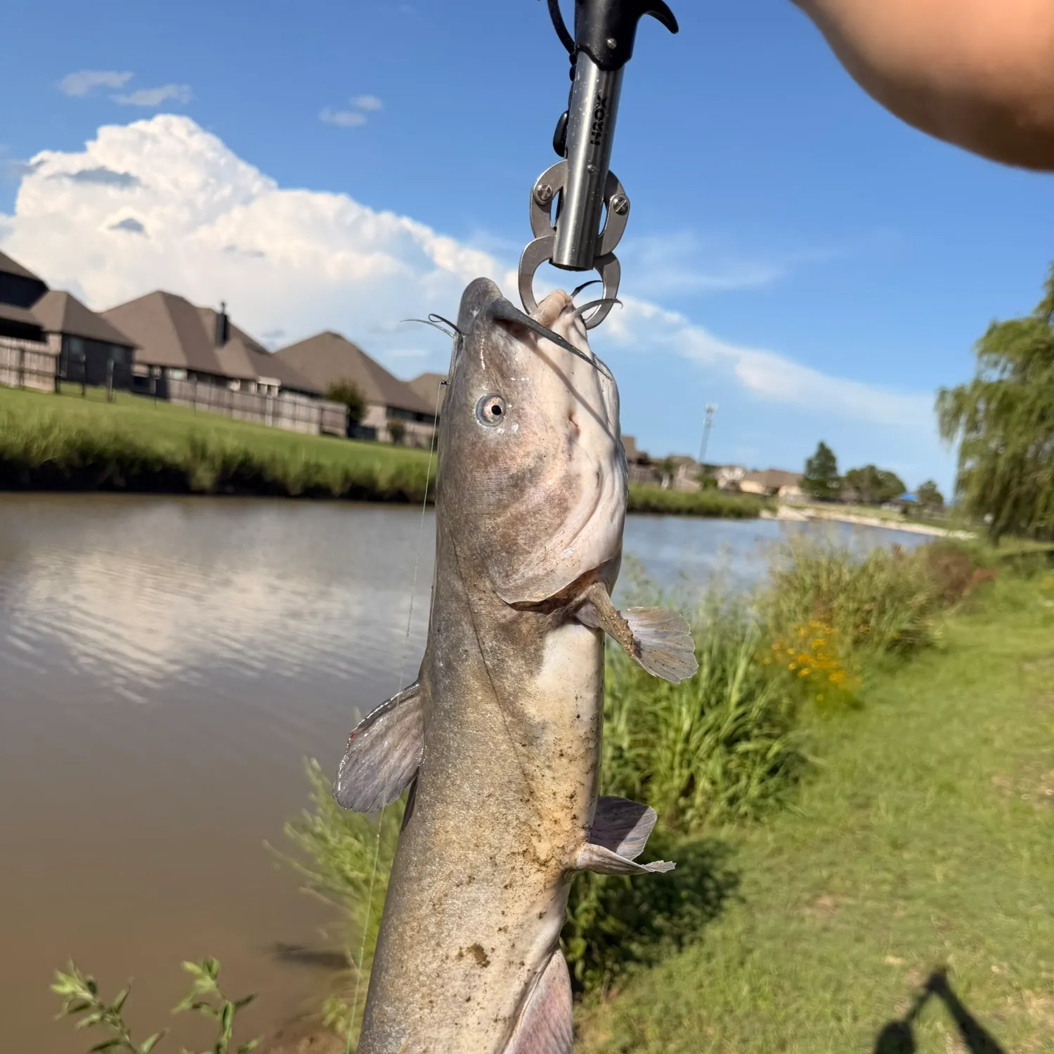 catch