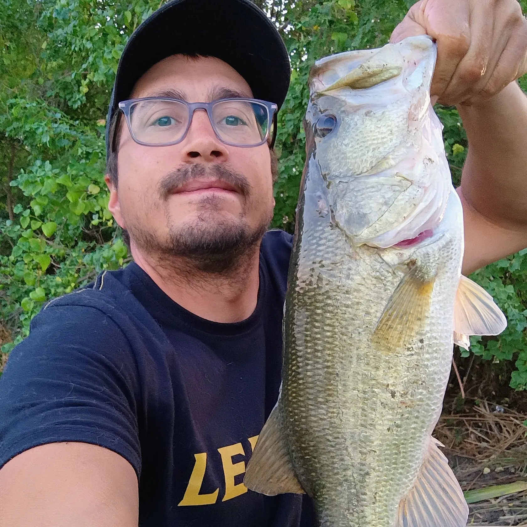 Largemouth bass caught on Fishbrain