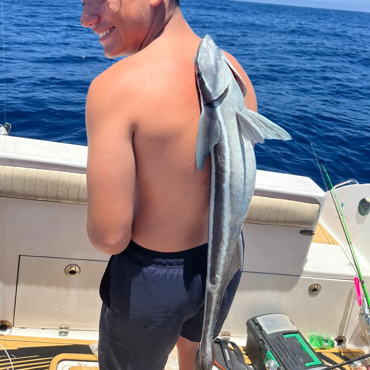 The most recent Live sharksucker catches on Fishbrain