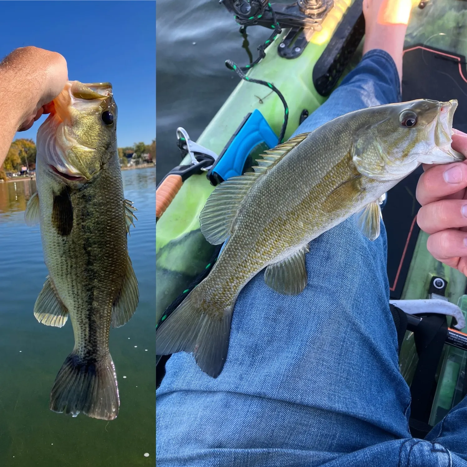 Northern pike caught on Fishbrain
