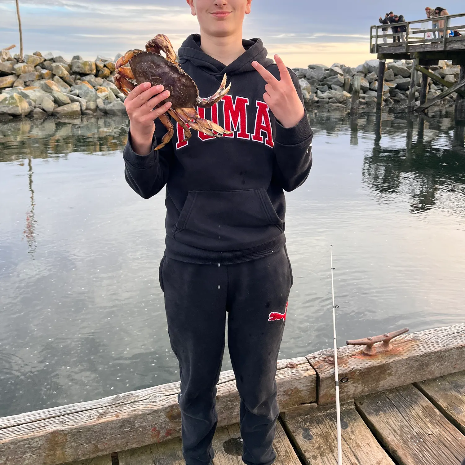 The most recent Dungeness crab catches on Fishbrain