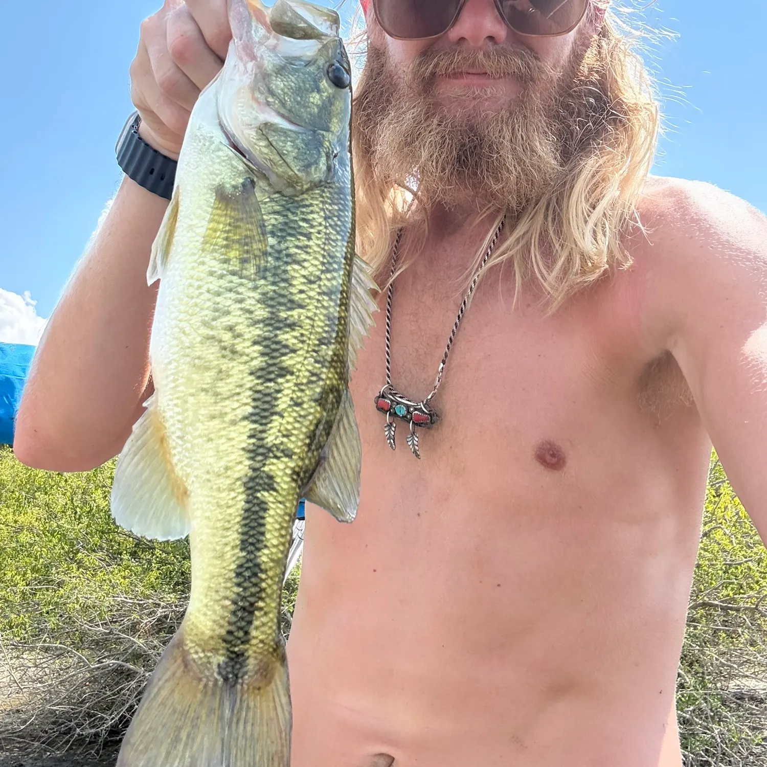 Spotted bass caught on Fishbrain