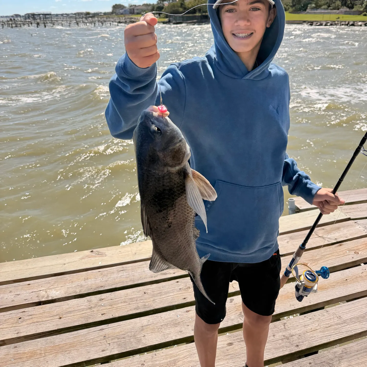 Black drum caught on Fishbrain