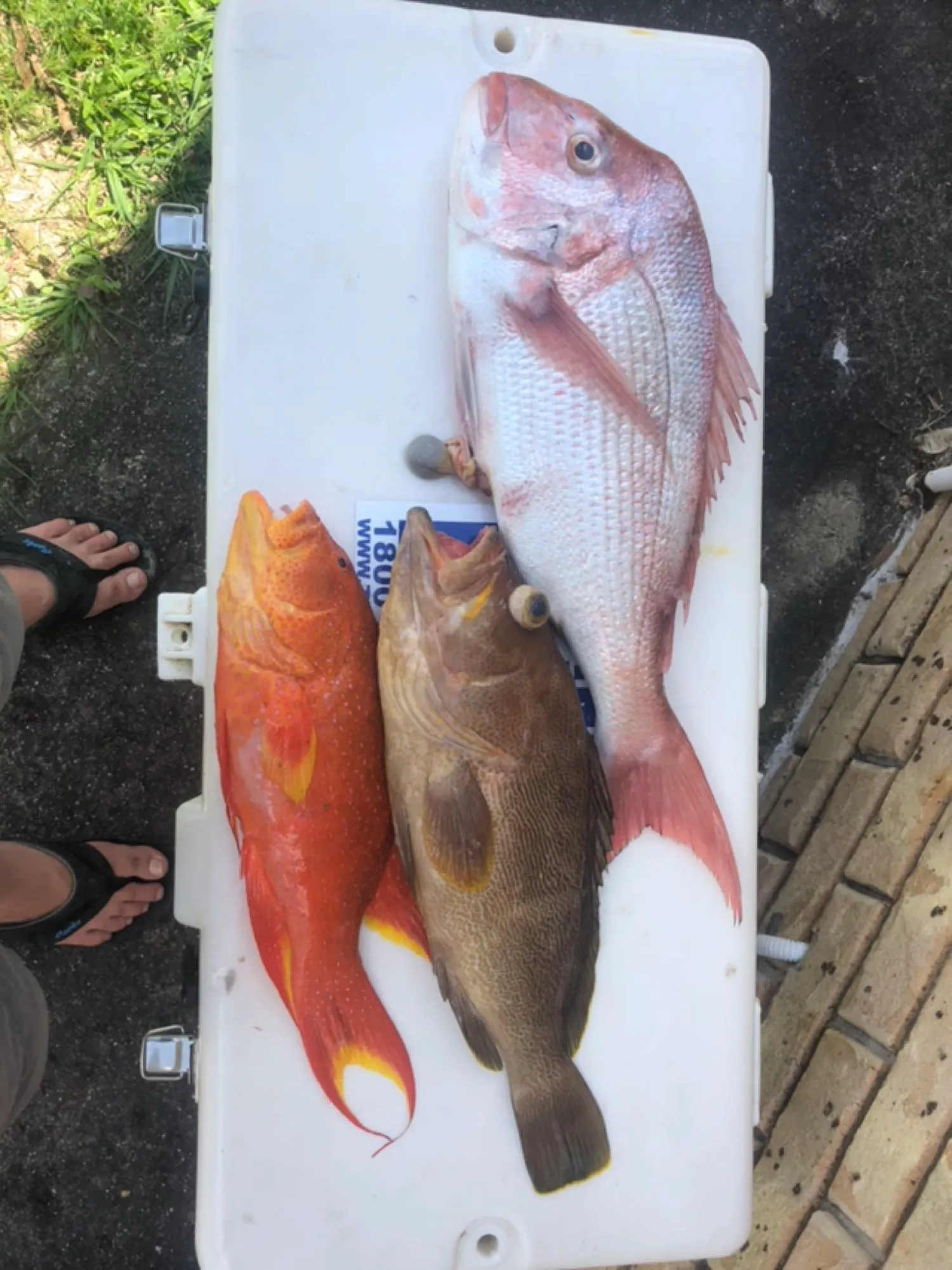 Post image from maxazzarello