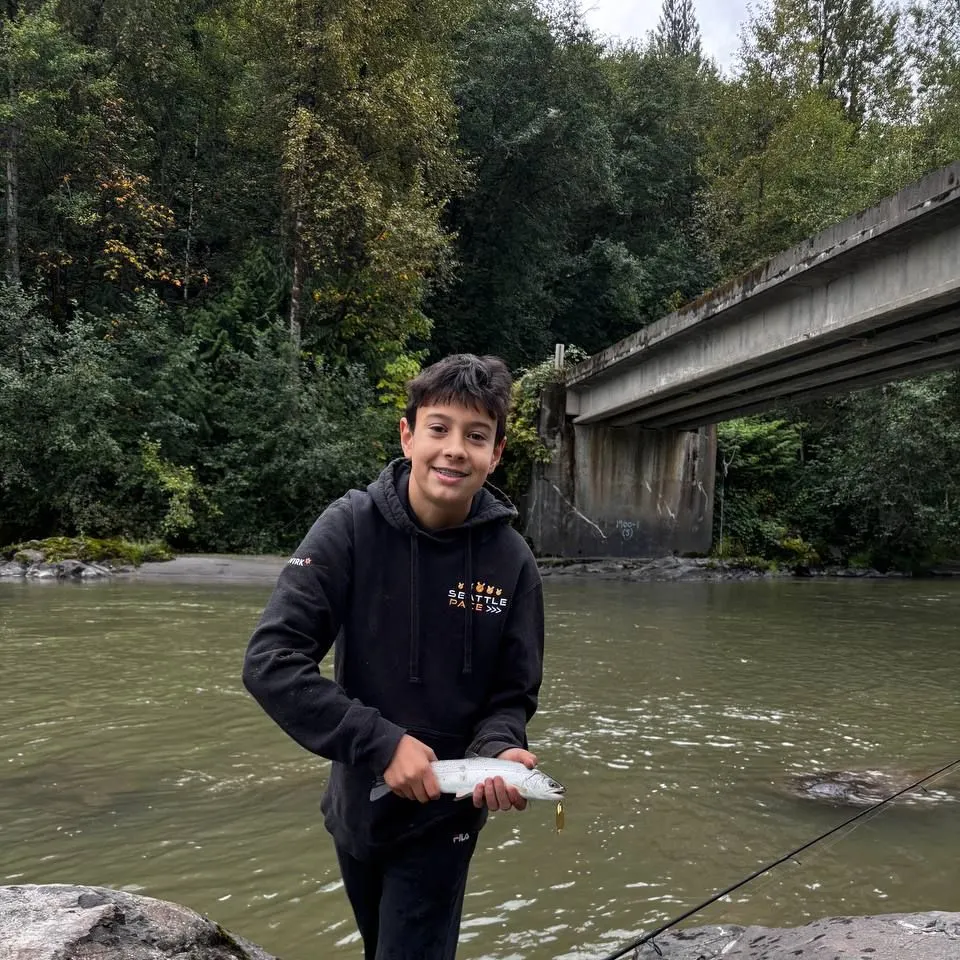 Chinook salmon caught on Fishbrain