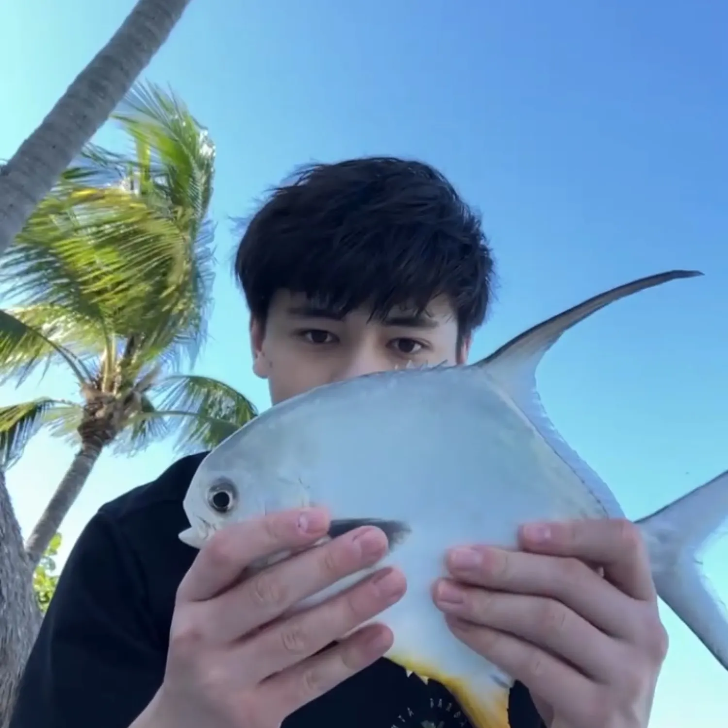 The most recent Permit catches on Fishbrain