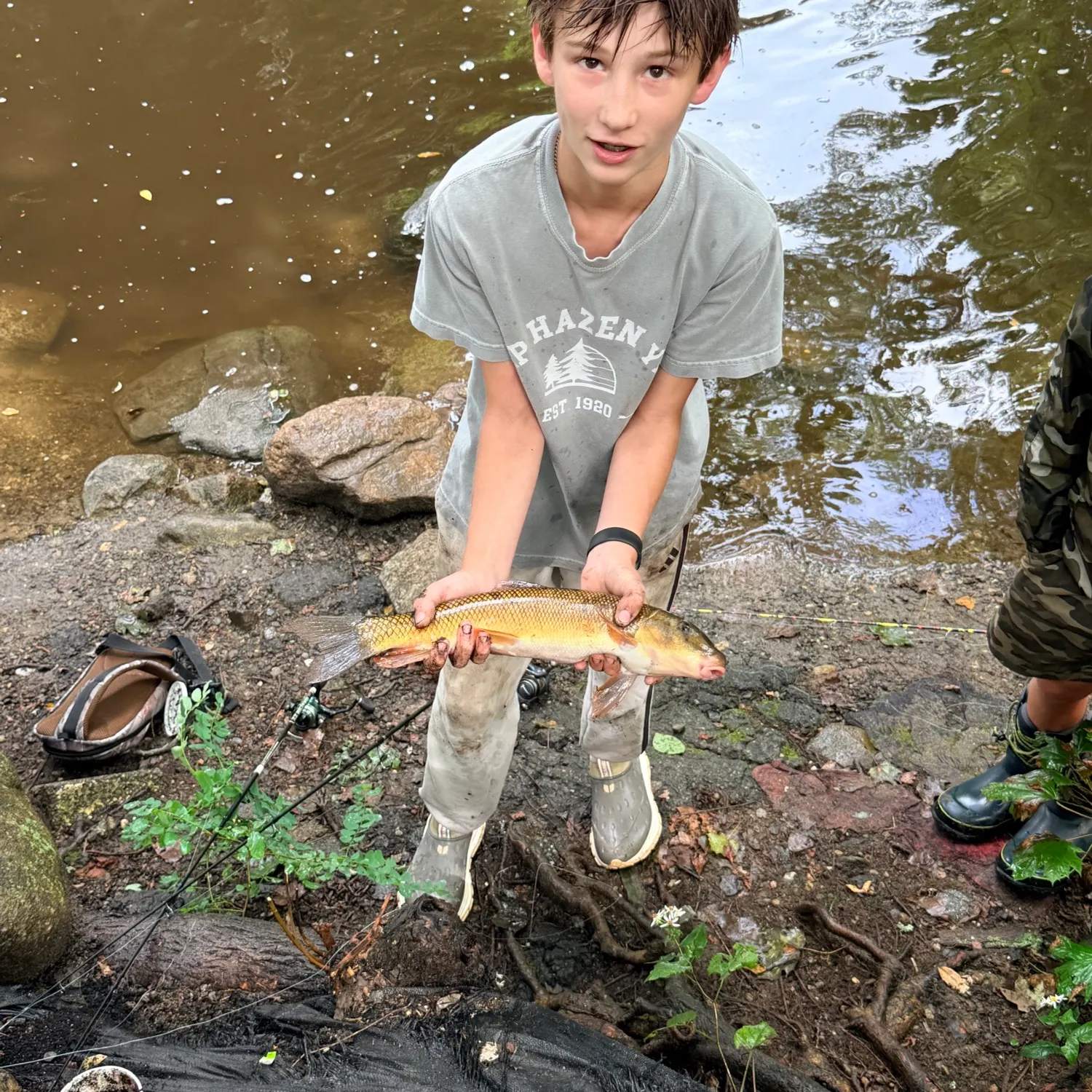Creek chub caught on Fishbrain