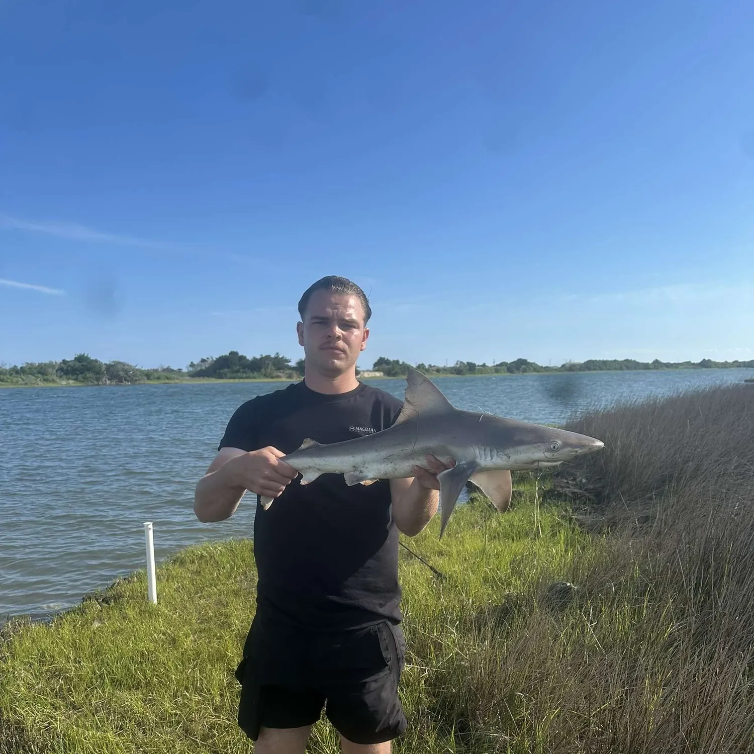 most liked catch image