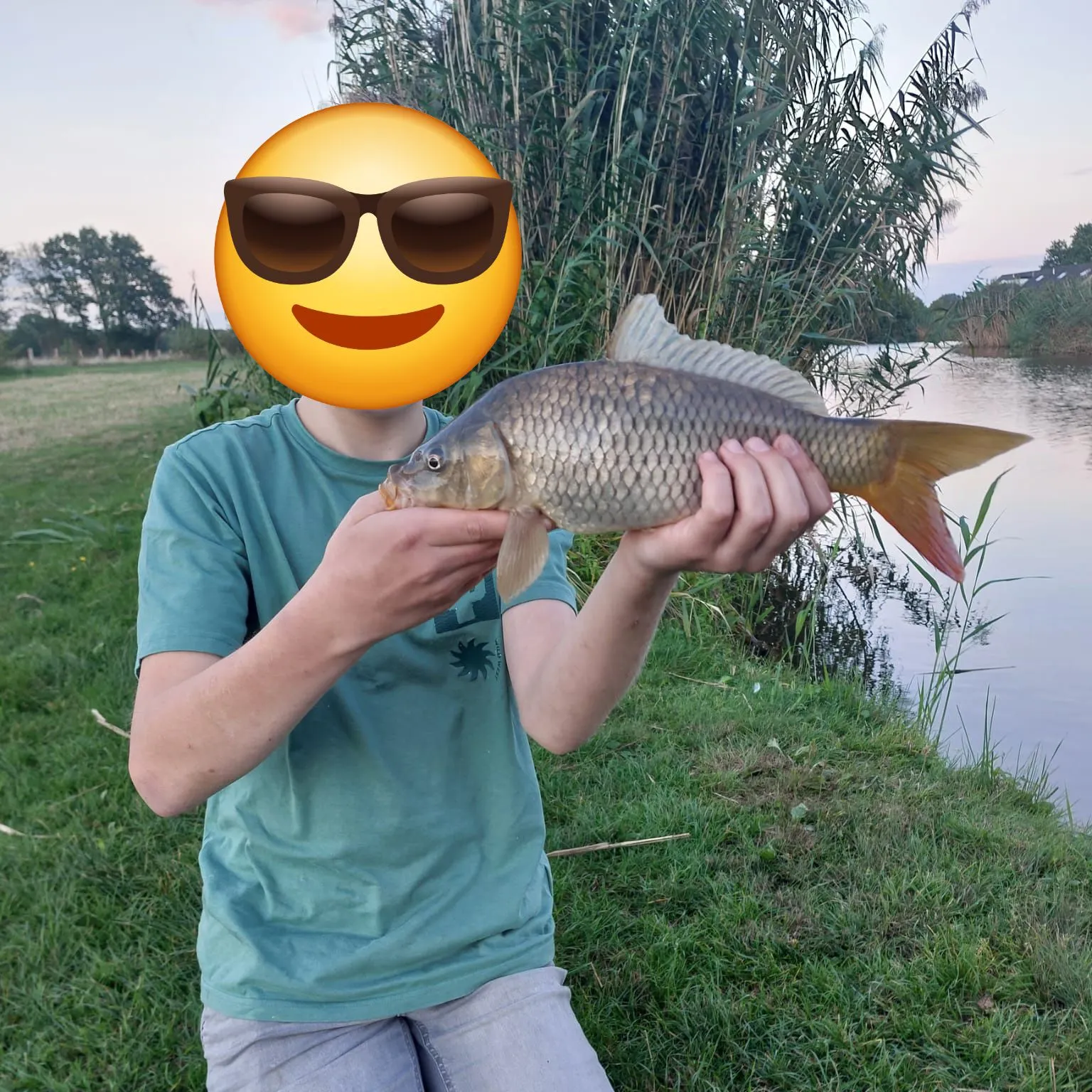 Common carp caught on Fishbrain