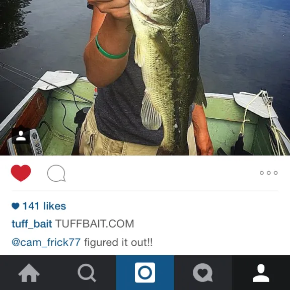 recently logged catches