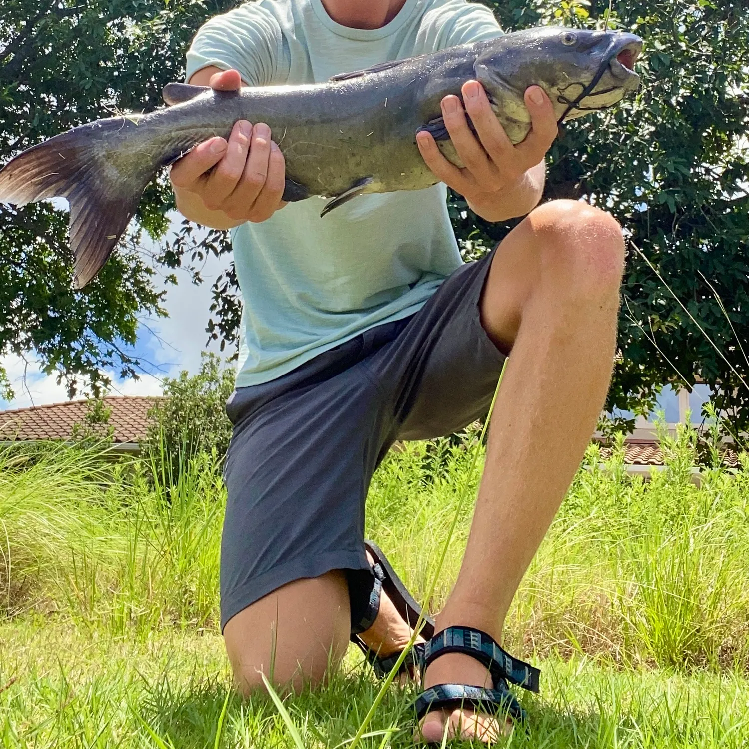 catch