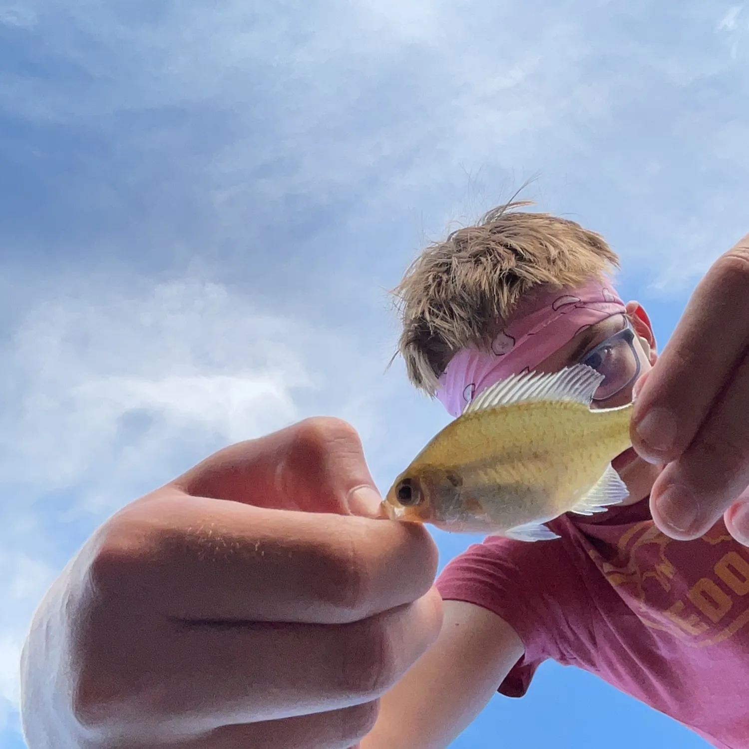 Bluegill caught on Fishbrain