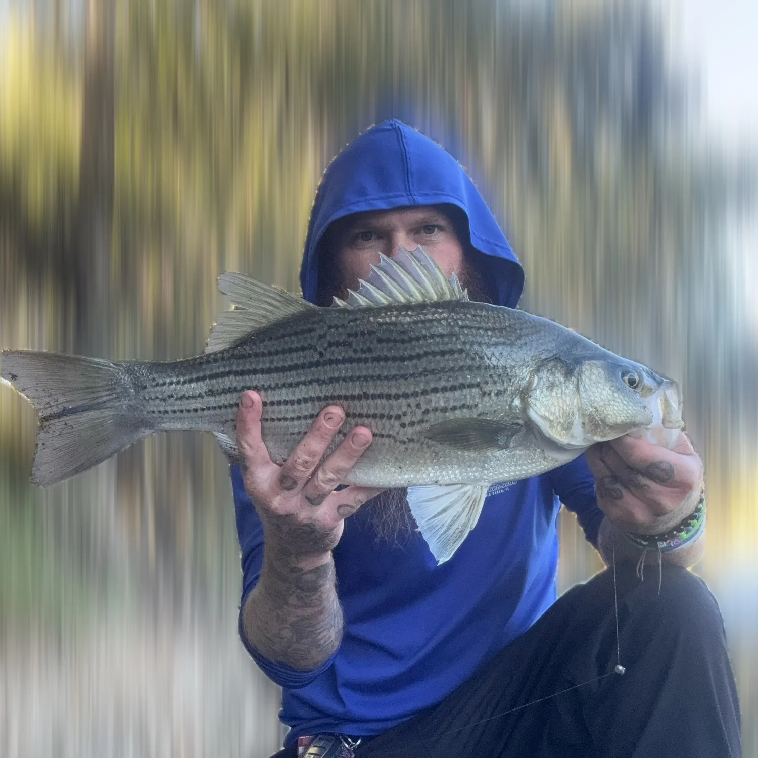Wiper caught on Fishbrain