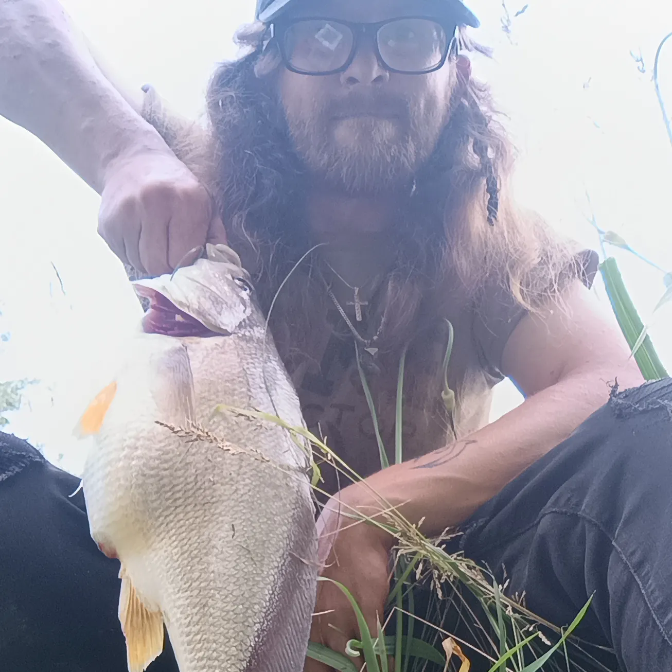 most liked catch image