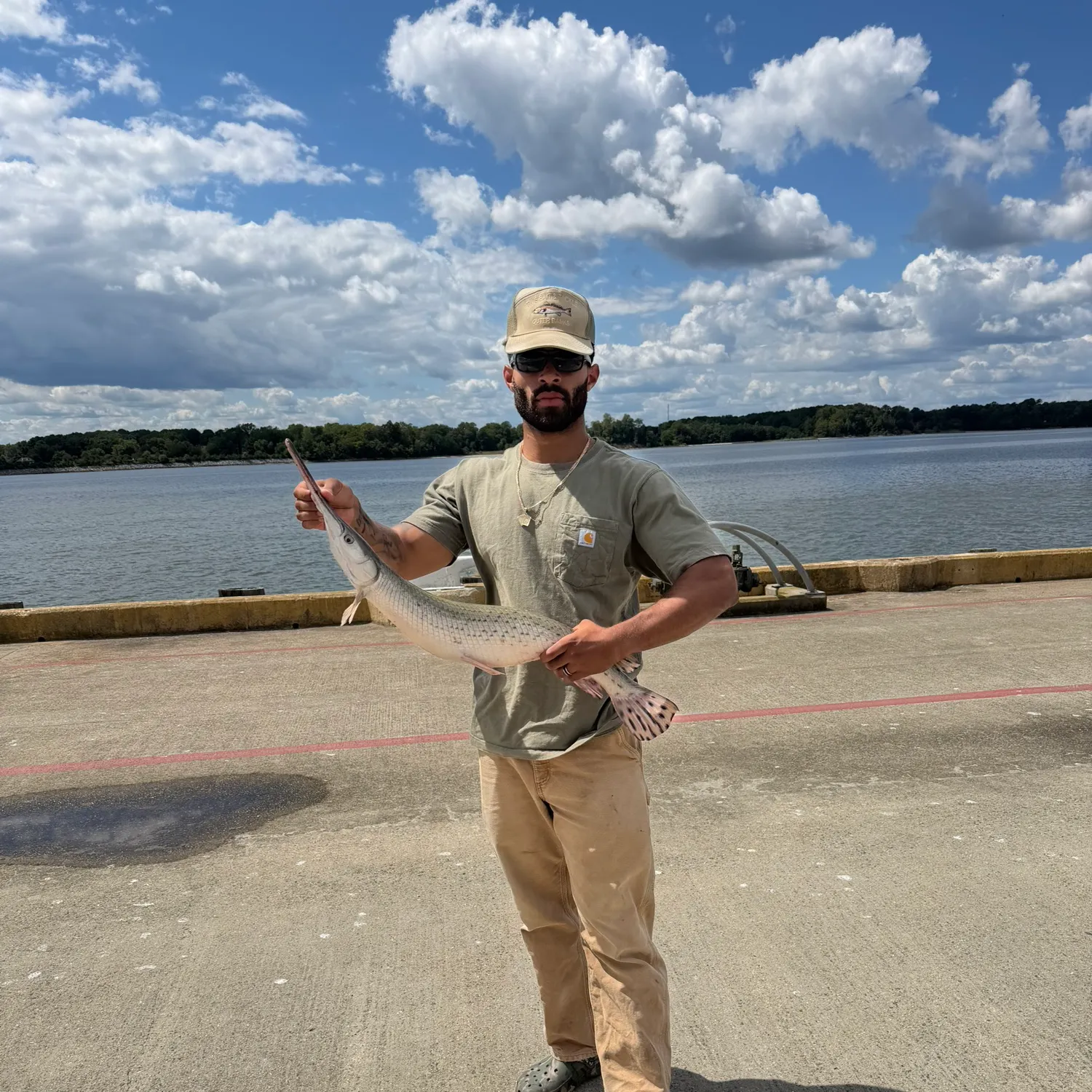 Longnose gar caught on Fishbrain