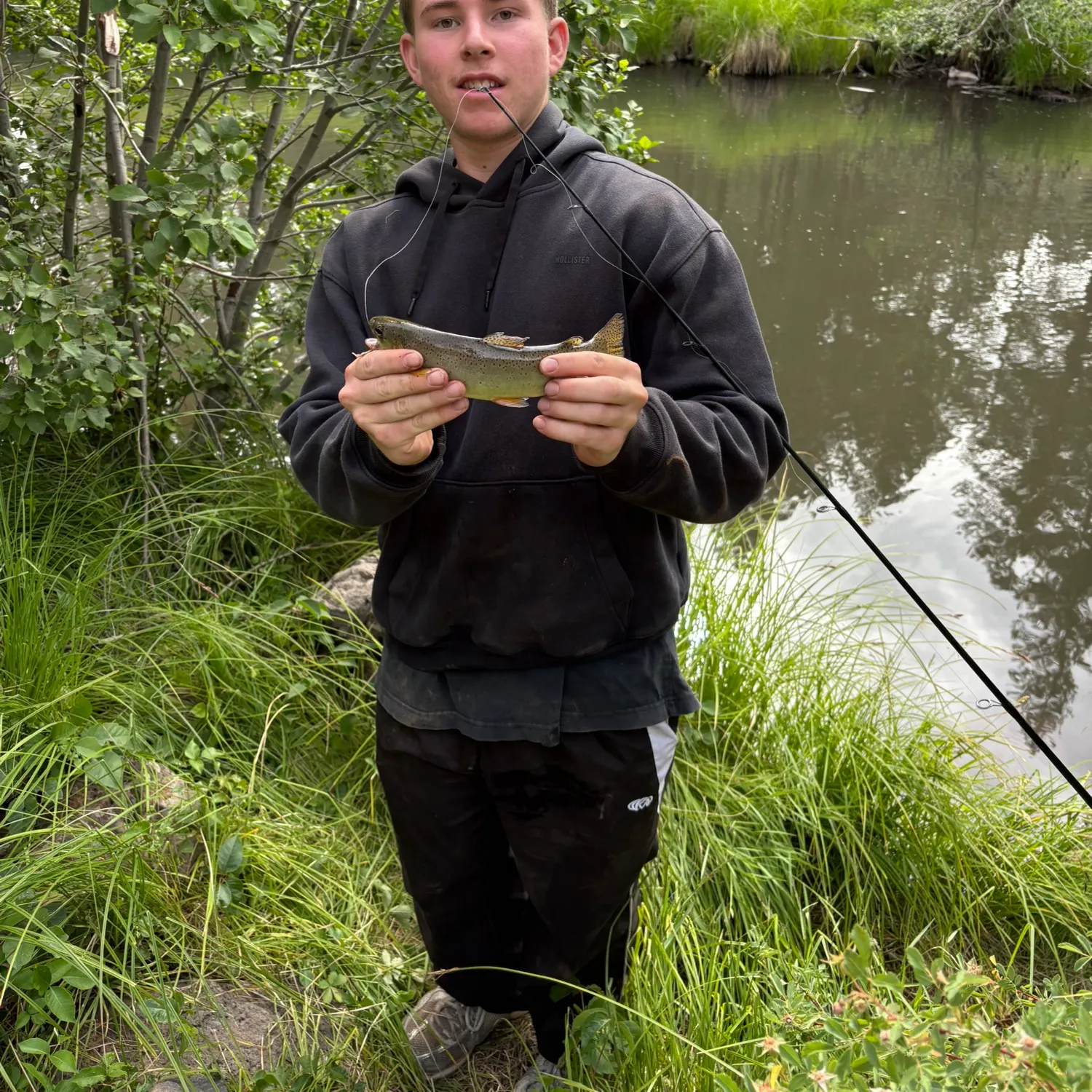 The most recent Apache trout catches on Fishbrain