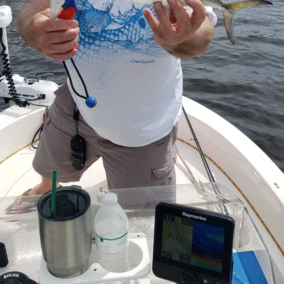 angler catch