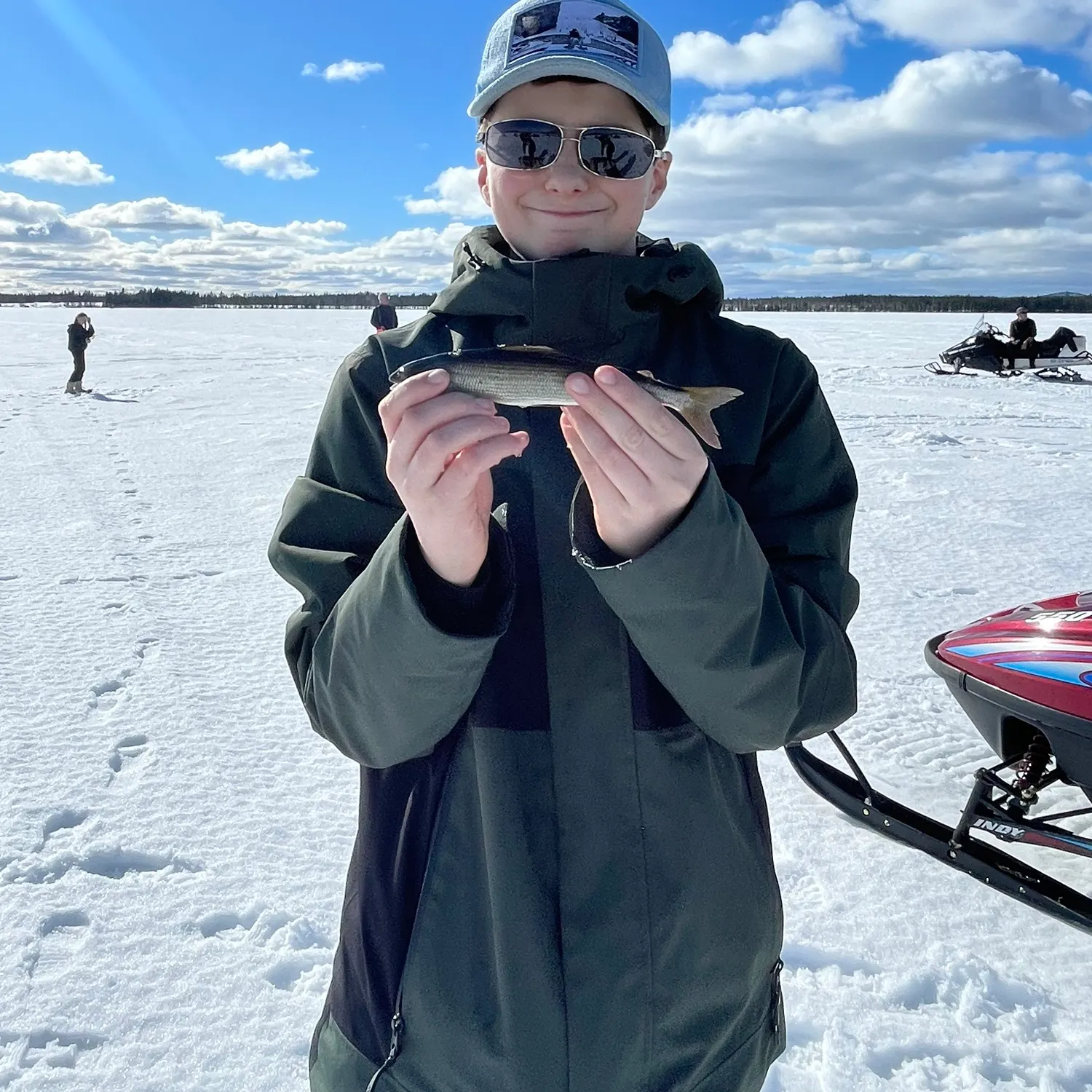The most recent European grayling catches on Fishbrain