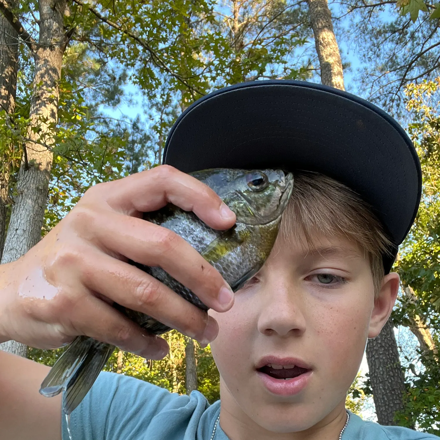 Bluegill caught on Fishbrain