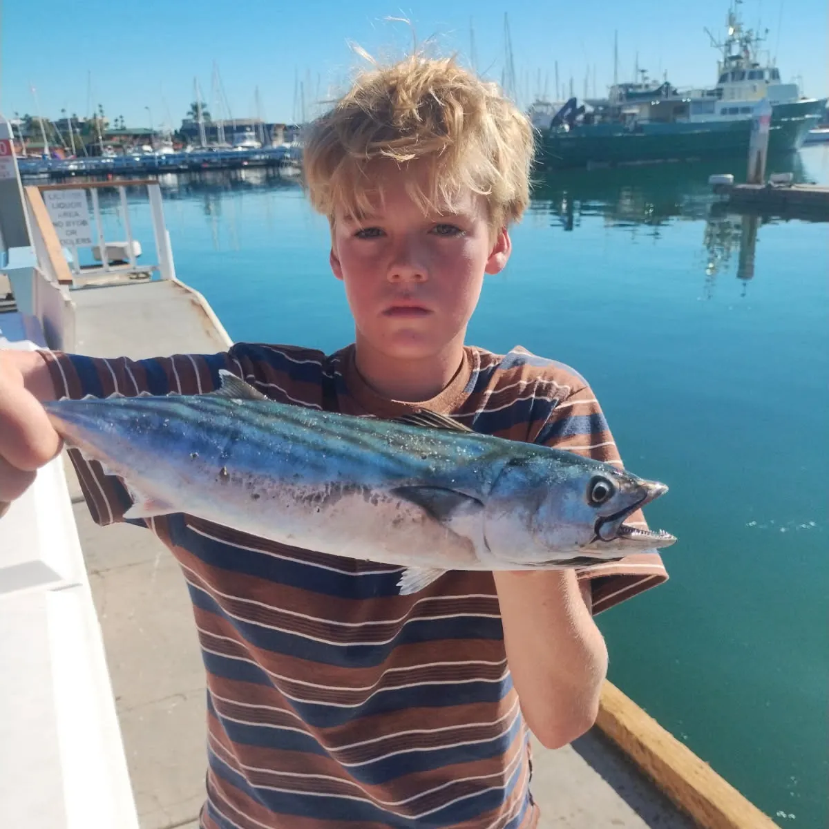 Pacific bonito caught on Fishbrain