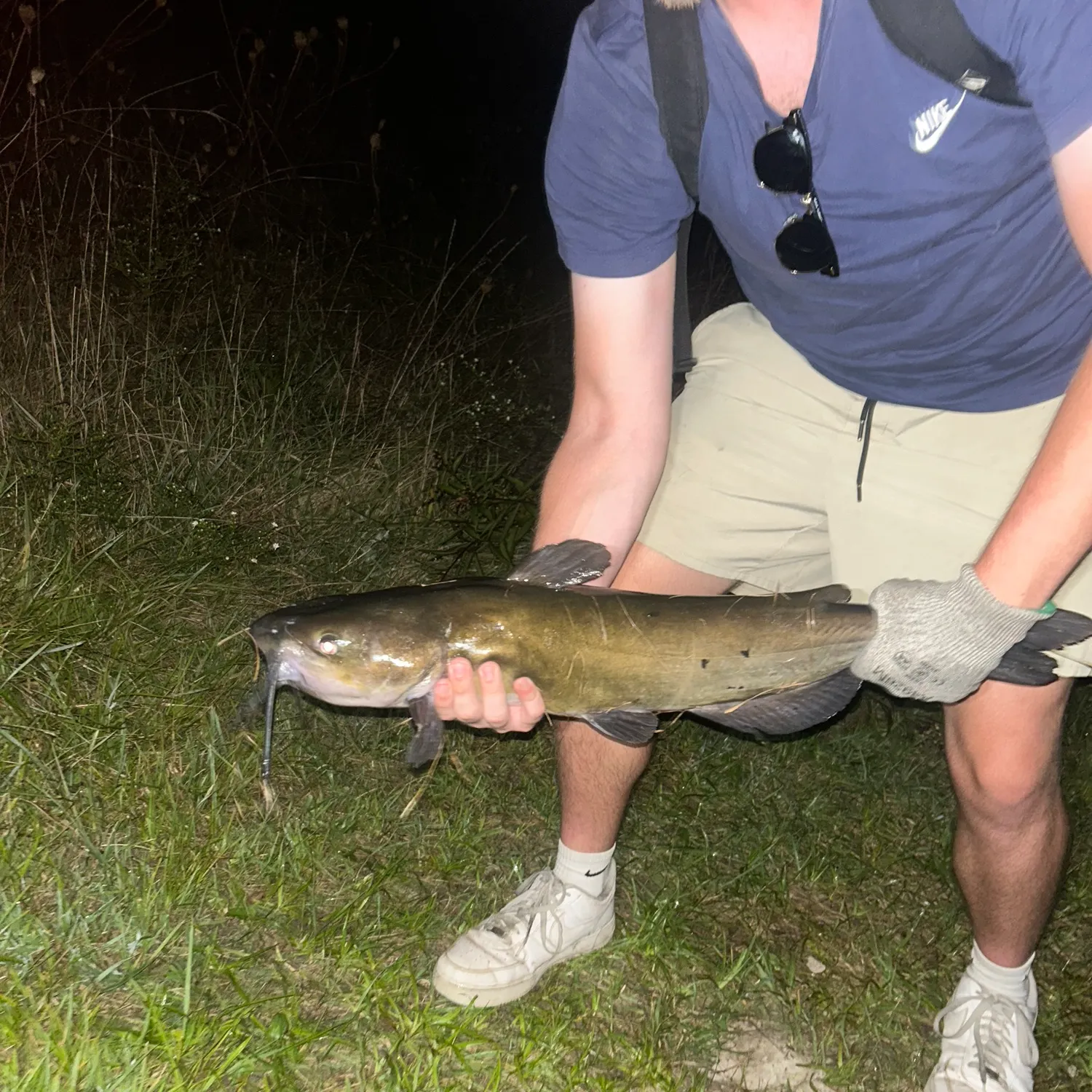Channel catfish caught on Fishbrain