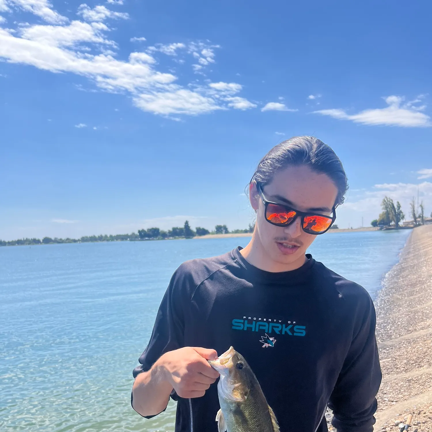 Smallmouth bass caught on Fishbrain