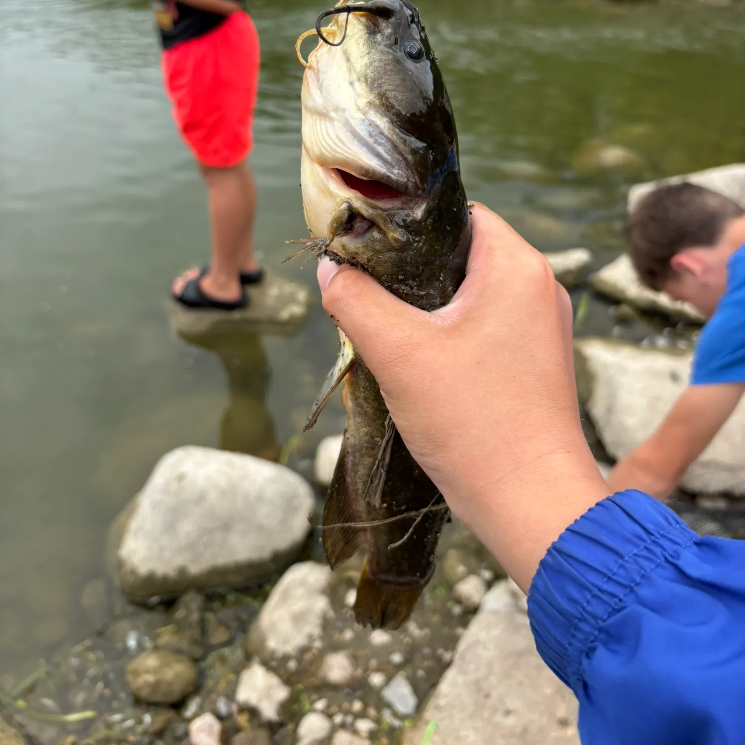 catch