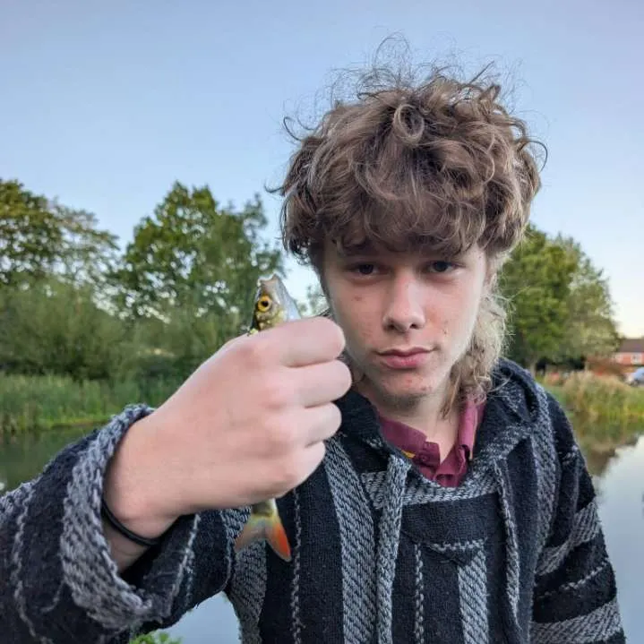 Common roach caught on Fishbrain