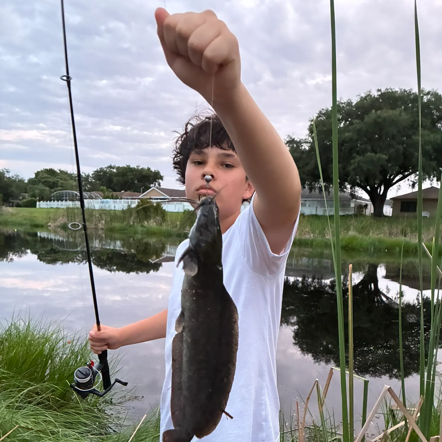 The most recent Walking catfish catches on Fishbrain