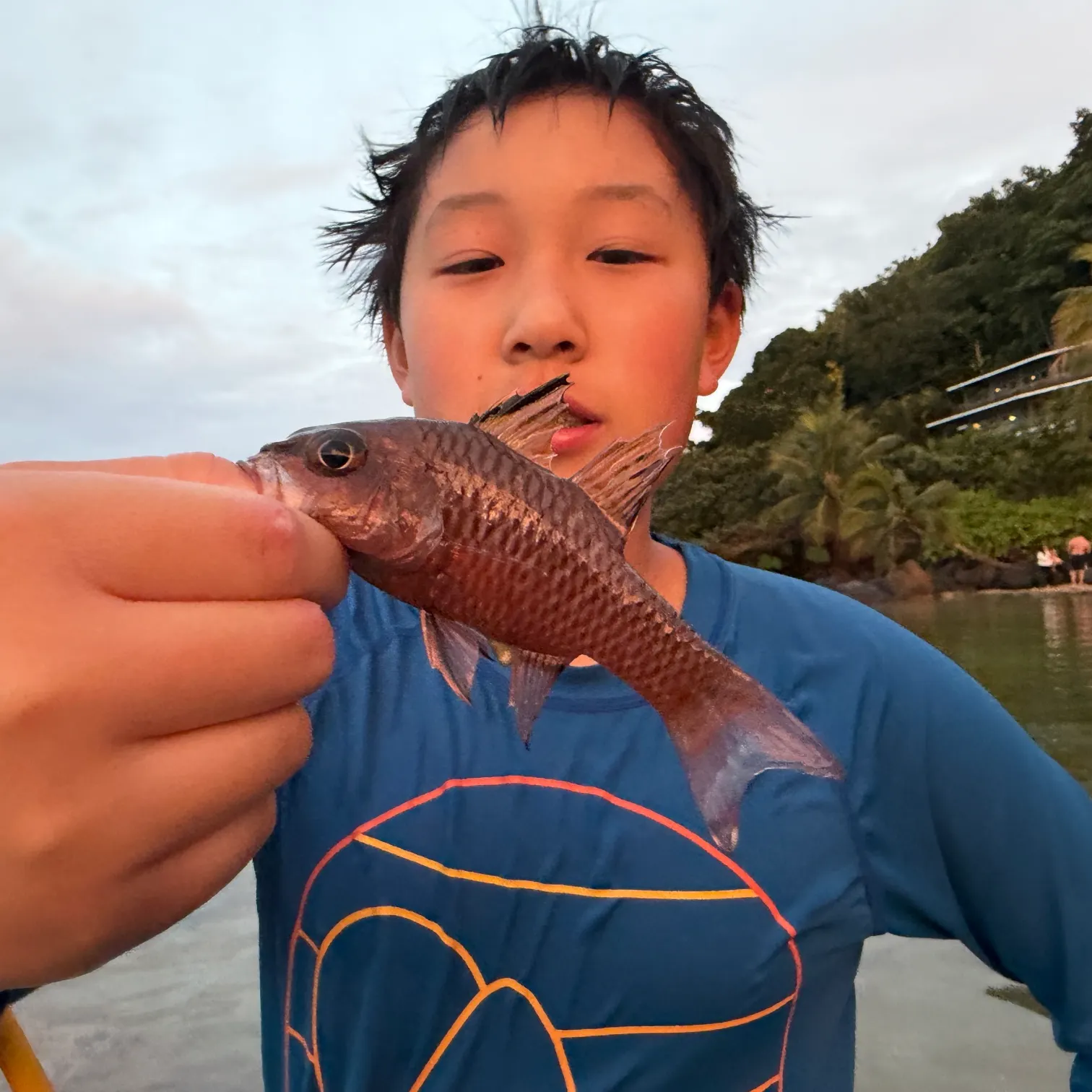 The most recent Iridescent cardinalfish catches on Fishbrain