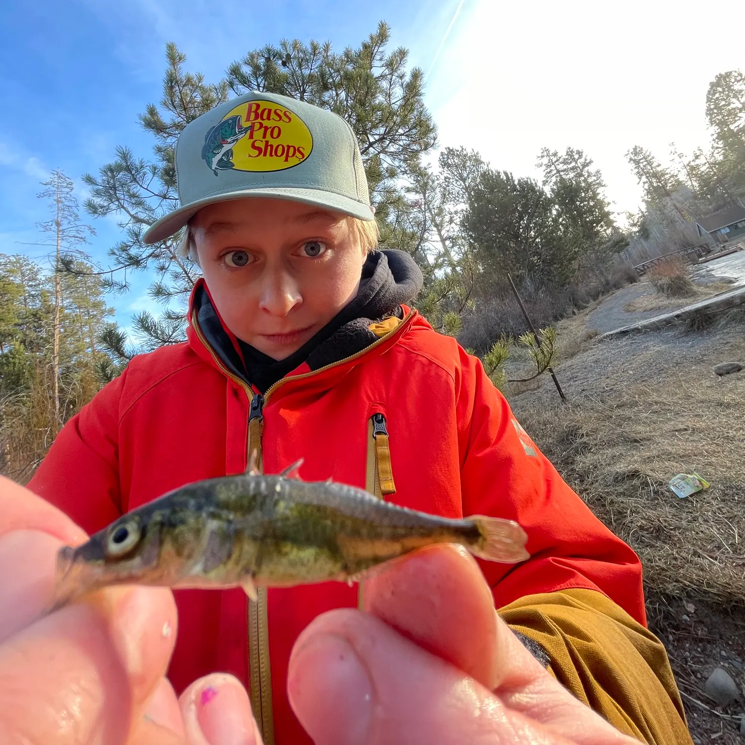 The most popular recent Fourspine stickleback catch on Fishbrain