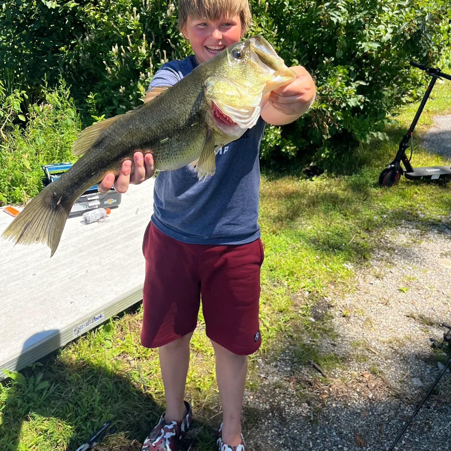 Largemouth bass caught on Fishbrain