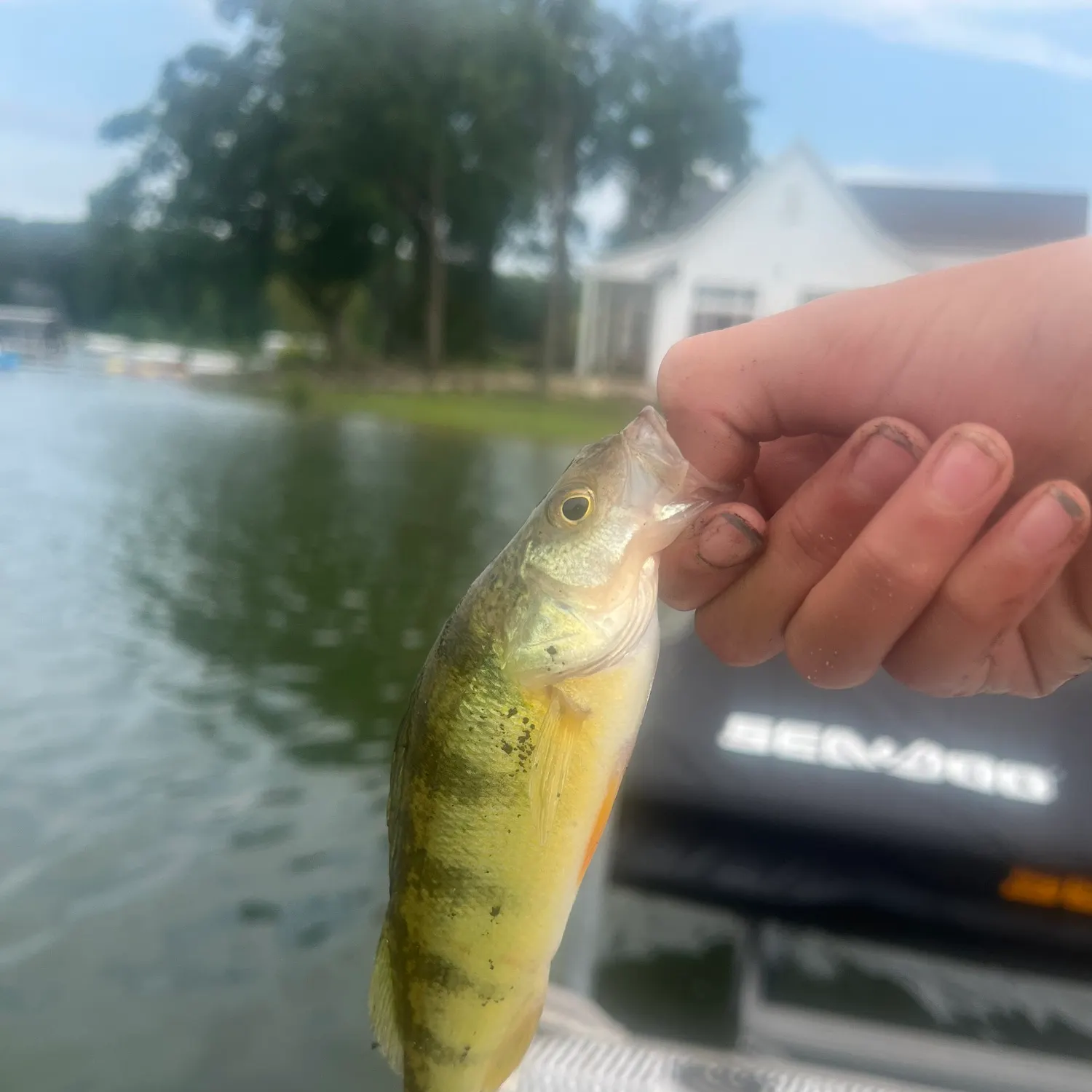 catch