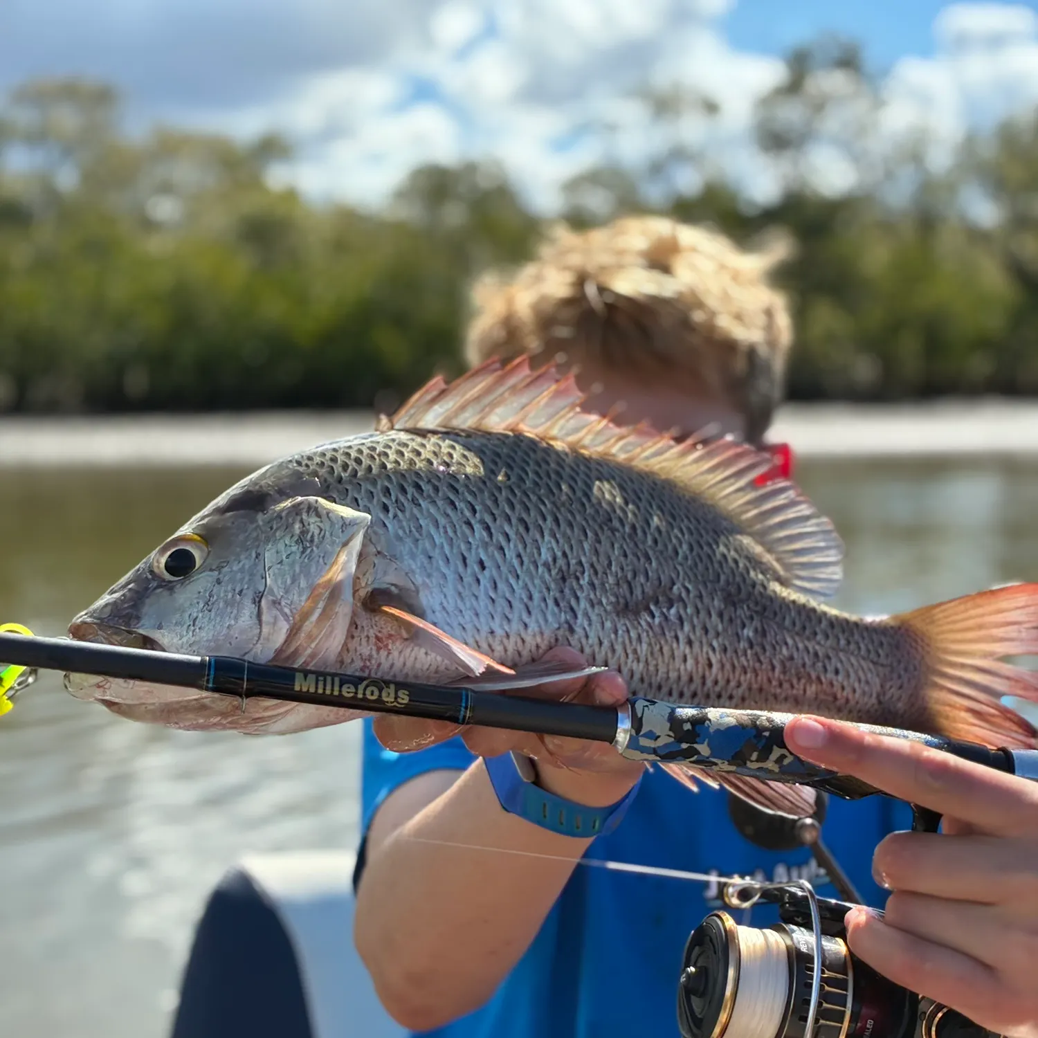 The most recent Mangrove red snapper catches on Fishbrain