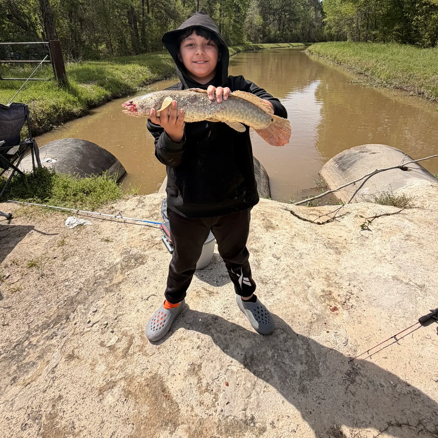 The most recent Eyetail bowfin catches on Fishbrain