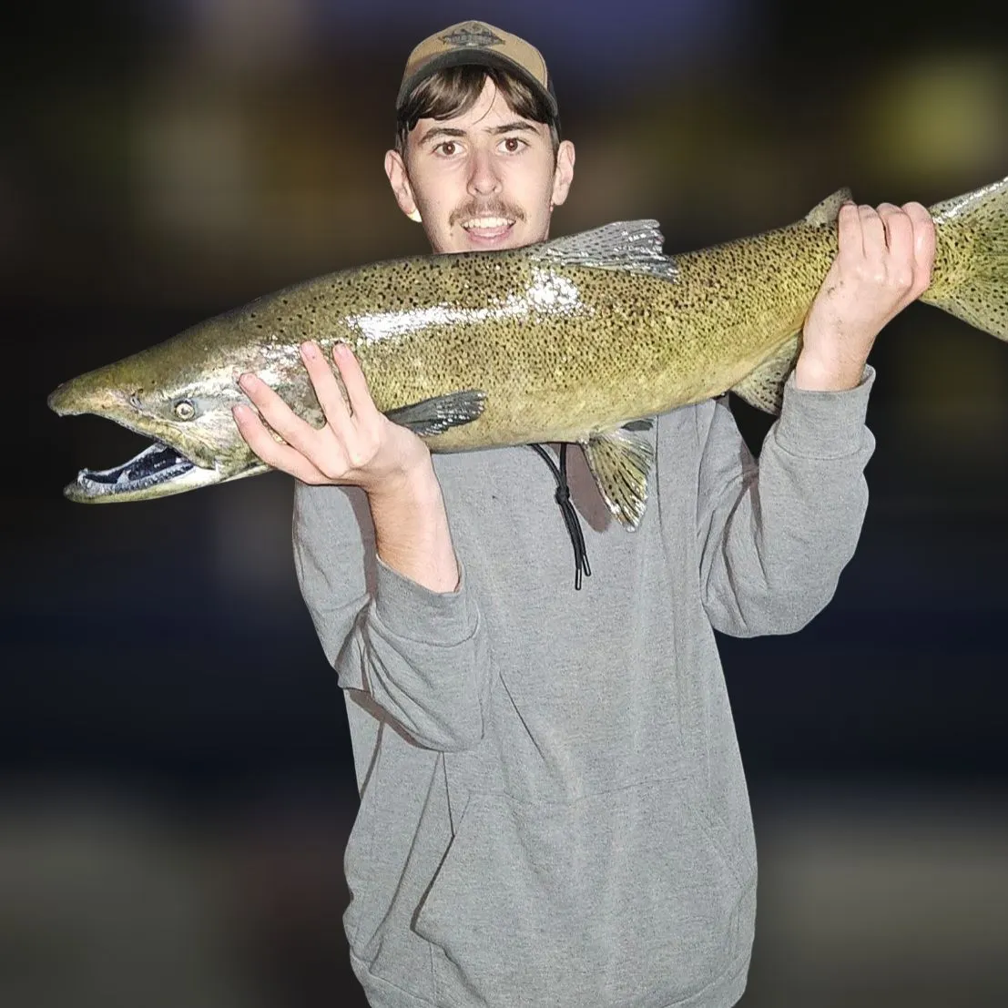 Chinook salmon caught on Fishbrain