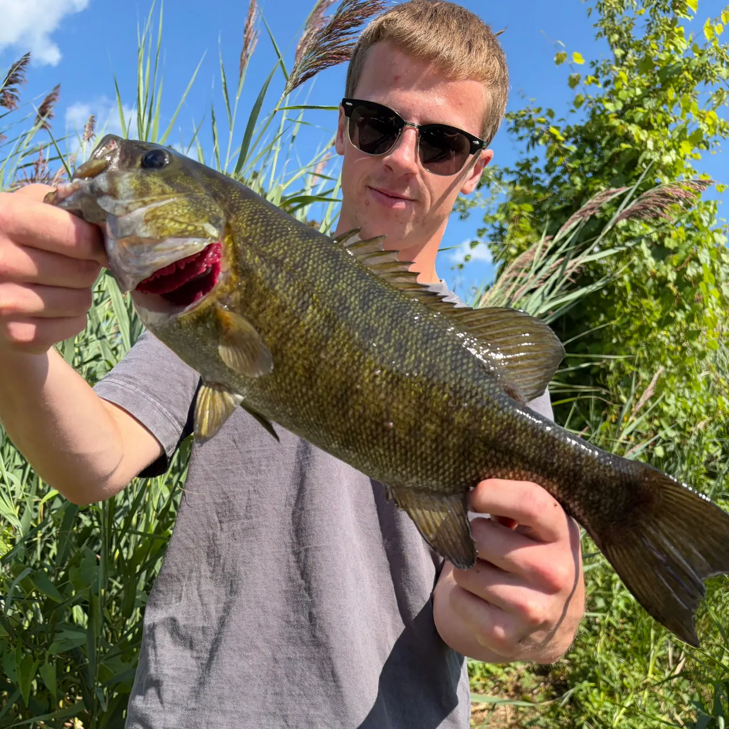 Smallmouth bass caught on Fishbrain