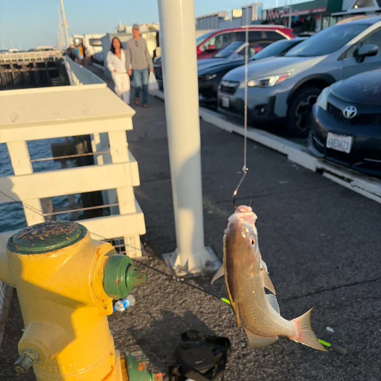 catch
