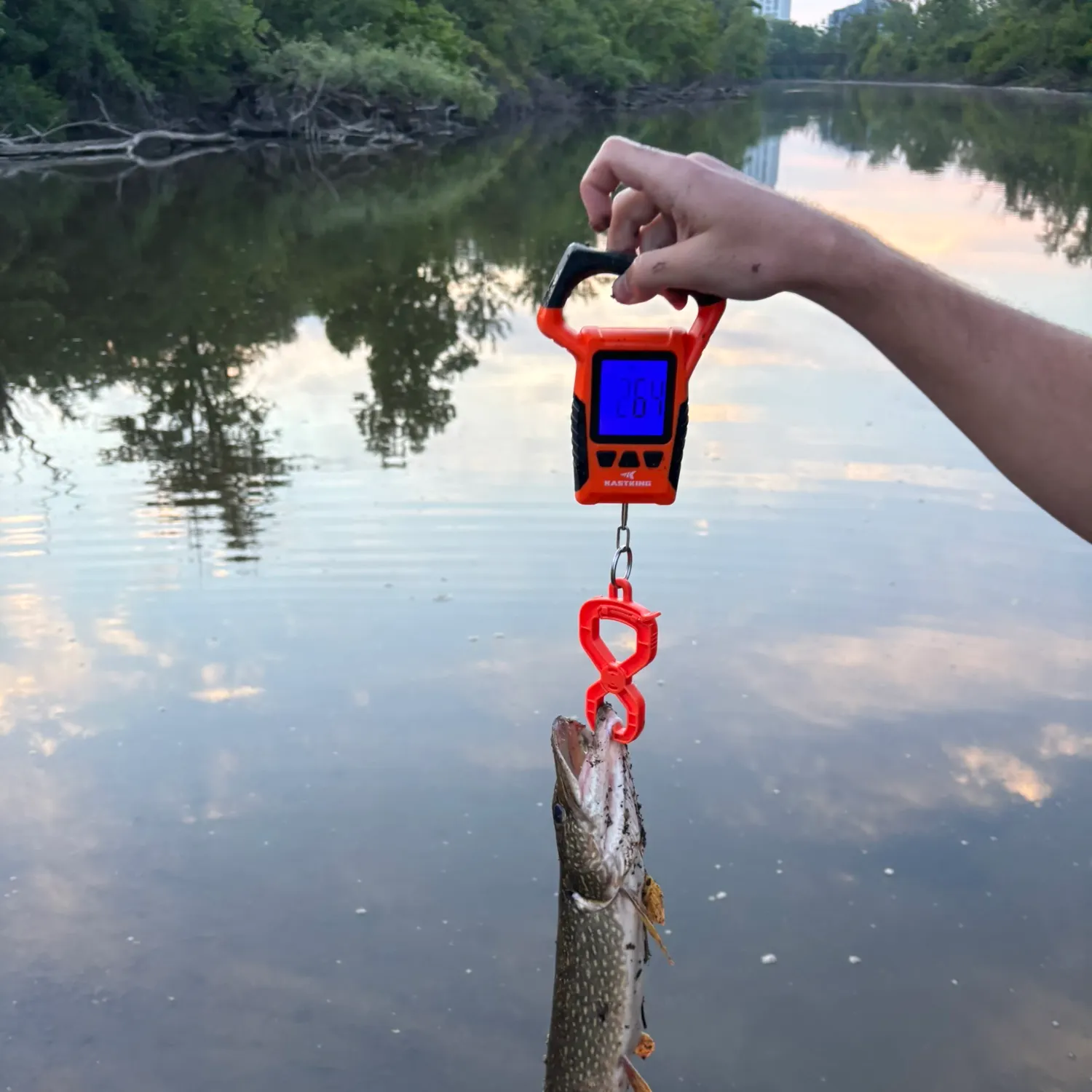 catch