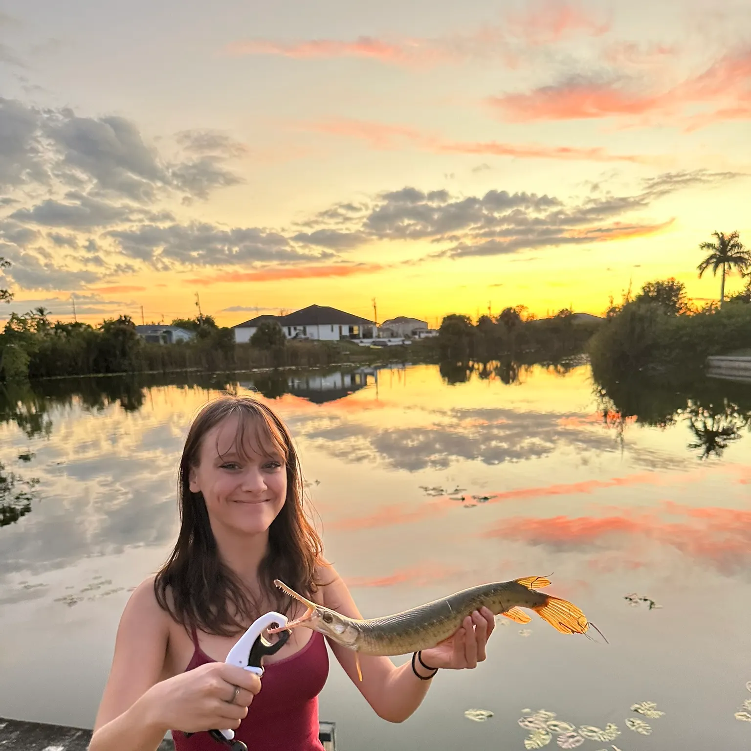 The most recent Shortnose gar catches on Fishbrain